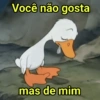 Você não gosta mas de mim