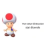 Meme italiani 27