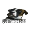 Que fue eso??