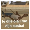 Pal grupo  9