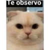 MEMEsTICKERS (1) 10