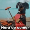 🌀 Perros con Frases 🐕🫧 8
