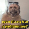 Macaquinhos reativos 🐒 5