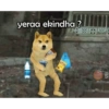 Cheems 9