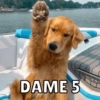 Memes de Firulais🐶💘 5