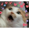 Sukritisbilliii 22
