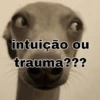 Coitadolândia 14