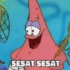 Sesat 13