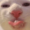 Memes cute 2😎 7