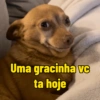 Uma gracinha VC ta hoje