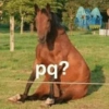 Animaladas Random🤪✨4 13