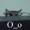 Cats (2/4) 14