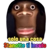 solo una cosa Stanotte ti inculo