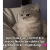 Apni hawas pr control kro warna Nunnu pe rubber Iga kar kheech kr chodd dungi..