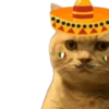 Mes patrio 🇲🇽 septiembre 🌮🇲🇽 3