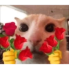 Reações de amor 12