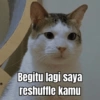 MEME KUCING 🐱 10