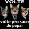 VOLTE volte pro saco do papai