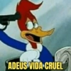 Memes do Pica-Pau  7