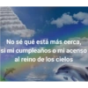 DELFINES UNICORNIO TREND 9