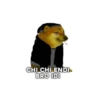 Cheems 5