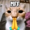 Kucing LUCU BGT 17