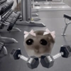 Academia memes 🏋‍♀️ 7