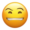 Emoji iphone gen z 🫩 9
