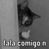 GATINHOS 🥰 14