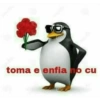 toma e enfia no cu