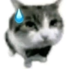 Cats (1/4) 26