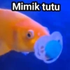 Meme absurd 9
