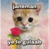 Cat love 11