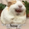 Animales Random 2🌸💥 7