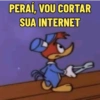 Memes do Pica-Pau  21
