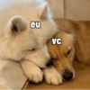 eu VC