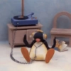 Pingüino penguin 😎 16