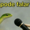 MEMES E REAÇÕES 12