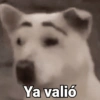Waos - Perro con cejas🐶 8