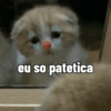 Gatinhos + reações 28