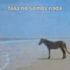 Animales Random 2🌸💥 25