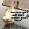 Animales Random 2🌸💥 11