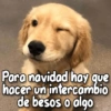 Para navidad hay que hacer un intercambio de besos o algo