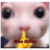 Não Grita