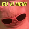 EU VI HEIN
