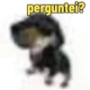 perguntei?