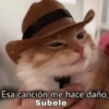 Gatos Pa Contestar🐈⚡ 23
