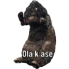Políticos 6