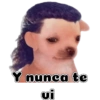 Y nunca te 8.