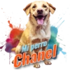 Mi perro Chanel
